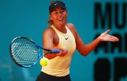 Vòng 2 đơn nữ Madrid mở rộng: Sharapova đi tiếp, Azarenka bị loại