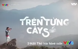 Khám phá hành trình "Trên từng cây số" tại Cần Thơ