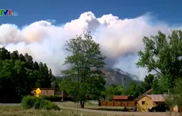 Hàng nghìn người tại Colorado (Mỹ) sơ tán vì cháy rừng dữ dội