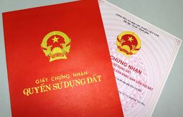 Kiên Giang: Lĩnh án tù vì làm giả giấy tờ đất