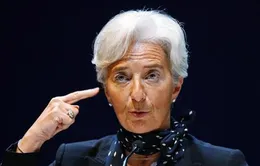 IMF cảnh báo Mỹ về chính sách bảo hộ thương mại