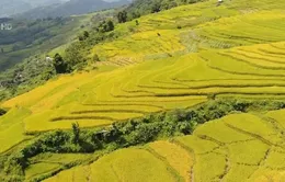 Ngày hội văn hóa du lịch vùng cao Na Hang, Tuyên Quang