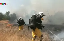 Israel không kích 9 mục tiêu Hamas tại Dải Gaza