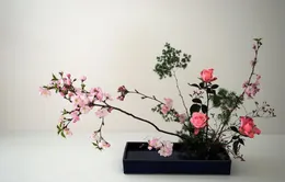 Trực tiếp Thế hệ số 10h00 (20/6): Hướng dẫn cắm hoa theo phong cách Ikebana