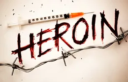 Hơn 30% người nghiện heroin mới ở Mỹ bị phụ thuộc vào thuốc