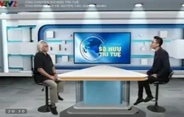 Câu chuyện Sở hữu trí tuệ: Chủ động bảo vệ quyền tác giả âm nhạc