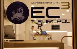 Europol truy quét tội phạm lừa đảo trên mạng