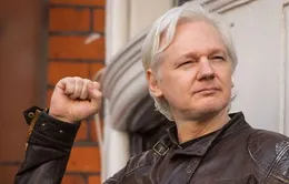 Ecuador có thể bỏ quy chế tị nạn đối với nhà sáng lập WikiLeaks