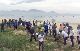 Đà Nẵng: Chiến dịch "Chung tay bảo vệ đại dương" - Vì một đại dương xanh