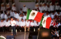 133 ứng cử viên tại Mexico bị sát hại trước tổng tuyển cử