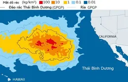 Đảo rác lớn gấp 6 lần nước Pháp