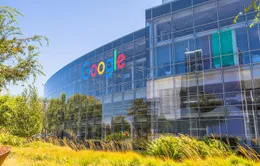 Google sẽ không làm mới hợp đồng quân sự với chính phủ Mỹ vì sự phản đối từ nhân viên
