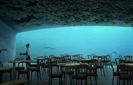 Độc đáo nhà hàng dưới biển đầu tiên tại châu Âu