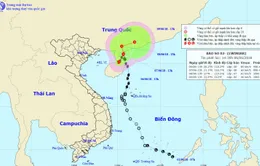 Theo dõi chặt chẽ thông tin bão số 2 để hướng dẫn kịp thời chủ phương tiện tàu, thuyền phòng tránh