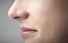 Chiếc mũi thính giúp ích cho đời sống tình dục