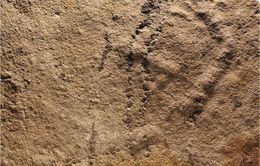 Phát hiện “dấu chân” cổ nhất ở Trung Quốc