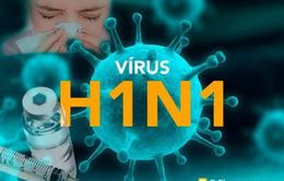 Ca nhiễm cúm A/H1N1 đầu tiên tại Bà Rịa - Vũng Tàu