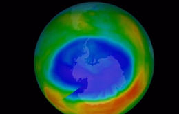 Bí mật lỗ hổng tầng Ôzôn