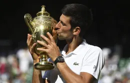 BXH tennis ngày 16/7: Djokovic trở lại ấn tượng, Lý Hoàng Nam xếp trên Andy Murray