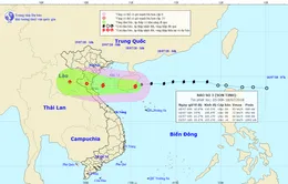 Chiều tối nay, bão số 3 ảnh hưởng trực tiếp đến các tỉnh từ Thái Bình đến Hà Tĩnh