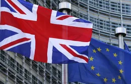 Chính trường Anh chao đảo vì làn sóng từ chức phản đối Brexit