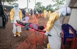 CHDC Congo tuyên bố hết dịch Ebola