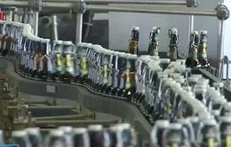 Ngành sản xuất bia tại Đức hưởng lợi nhờ thời tiết nắng nóng