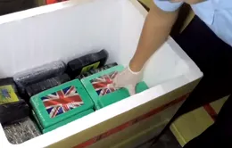 100 bánh cocaine trong container nhập cảng Cái Mép