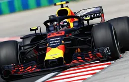 Daniel Ricciardo và Sebastian Vettel đạt thành tích tốt tại vòng đua thử GP Hungary