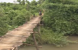 Nỗi lo cầu tạm trong mùa mưa lũ tại Đắk Nông