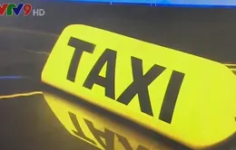 Sở Du lịch TP.HCM đề nghị chấn chỉnh nạn taxi dù