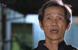 Lò luyện võ miễn phí và người thầy đặc biệt