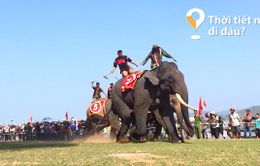 “Thời tiết này đi đâu?”: Mùa hè này về Đắk Lắk cưỡi voi!