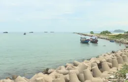 Quảng Ngãi: Các cửa biển đều bị sạt lở, bồi lấp