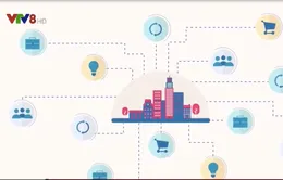Thừa Thiên Huế dẫn đầu cả nước về phát triển Chính phủ điện tử