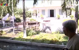 Mái ấm tình thương dòng thánh Paolo Đà Nẵng
