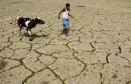 Hạn hán nghiêm trọng giữa mùa đông tại Brazil