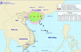 Áp thấp nhiệt đới có khả năng mạnh lên thành bão hướng về vịnh Bắc Bộ