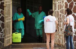 WHO yêu cầu đảm bảo an ninh để hỗ trợ dập dịch Ebola tại Congo