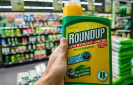 Cục Bảo vệ thực vật sẽ loại bỏ glyphosate ngay khi có đủ bằng chứng có nguy cơ gây ung thư