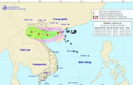 Bão số 4 cách Móng Cái (Quảng Ninh) 210km, giật cấp 11