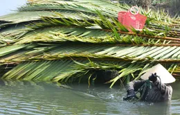 Nghề làm nhà dừa