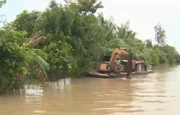 Cần Thơ khẩn trương bảo vệ lúa Thu Đông