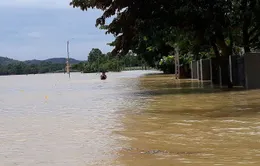 Chủ động phòng chống bão, giảm thiểu thiệt hại do mưa lũ tại Thanh Hóa