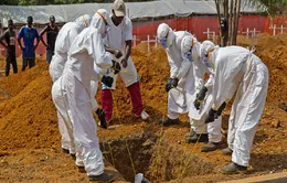 WHO: Tỉ lệ tử vong trong đợt dịch Ebola mới ở Congo là hơn 50%