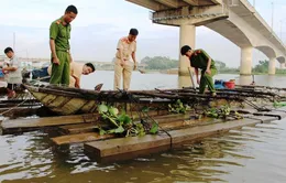 Báo động tình trạng vận chuyển gỗ lậu trên sông