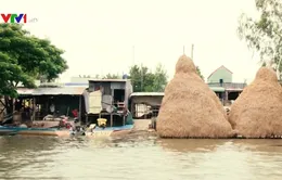 Mực nước sông Cửu Long đang lên, nguy cơ xảy ra ngập lụt ở các vùng trũng thấp