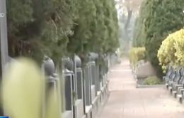 Giá đất nghĩa trang tại Trung Quốc tăng mạnh