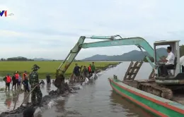 Vỡ đê bao ở An Giang, hàng trăm hecta lúa bị nhấn chìm