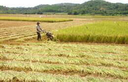 Phú Yên: Nguồn lực đầu tư vào lĩnh vực nông nghiệp, nông thôn tăng 2,4 lần